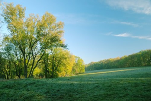 Local image of Nottinghamshire